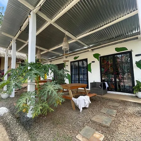 Jungle Hostel & Private Rooms-3